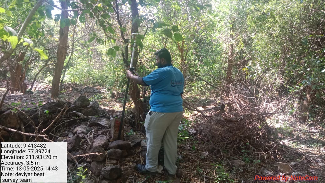 Forest Edge Topographic Survey